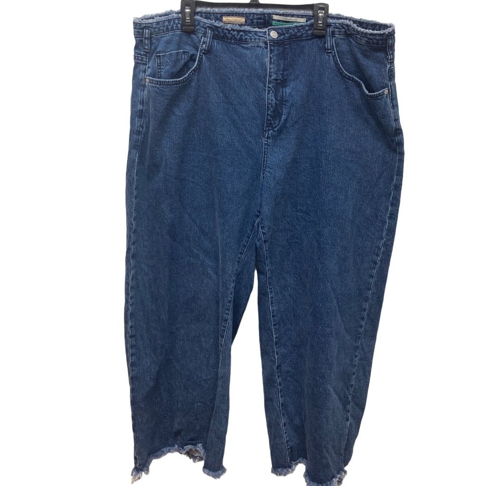Anthropologie Pilcro plus size wide leg raw hem jean 22w